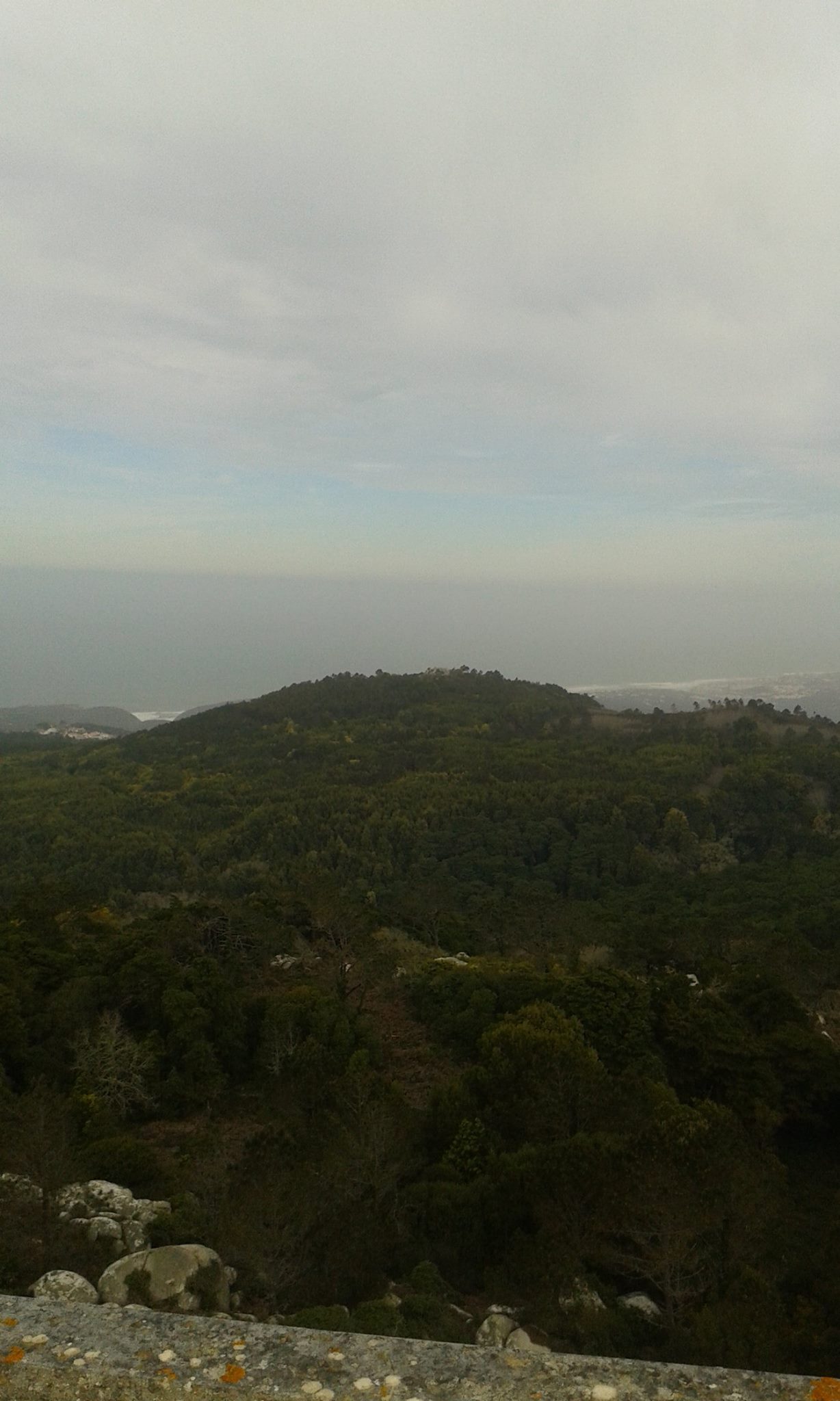 peninha_4.jpg peninha_4.jpg